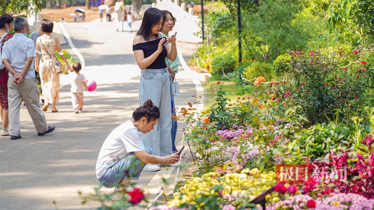 网投平台推荐